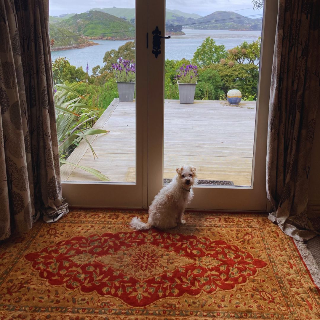 justene allen massage port chalmers 4