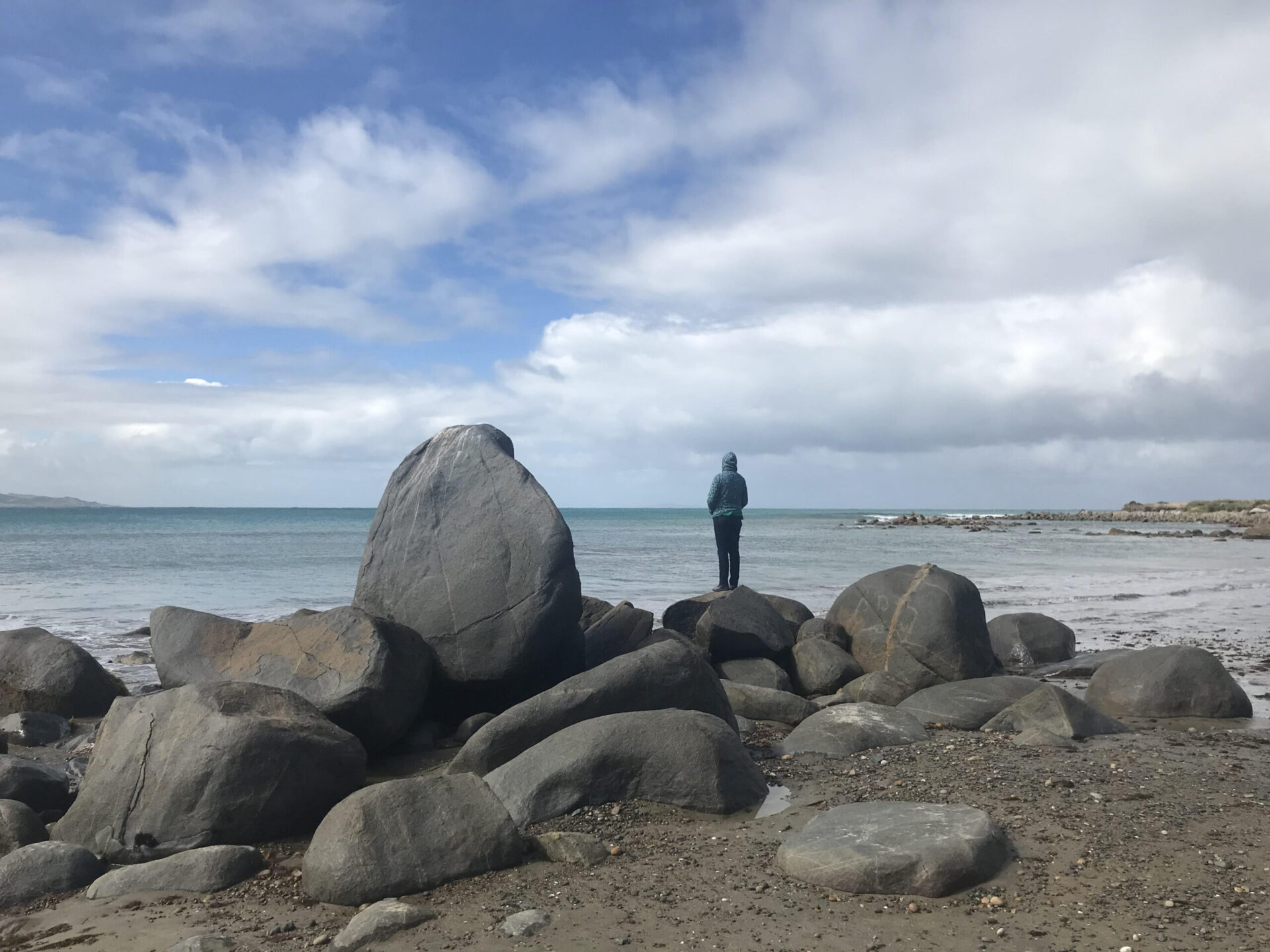 mentorship dunedin justene